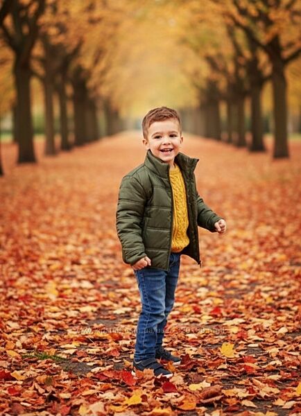 Демісезонна куртка для хлопчиків lupilu, Німеччина