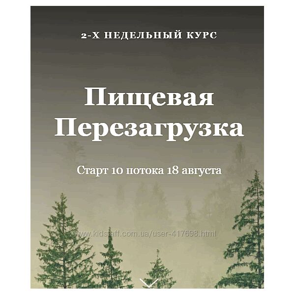 Голод Перезагрузка Алисья Янг Курс 2024