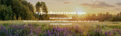Дмитрий Лаптев Воспитание Ци Полный курс