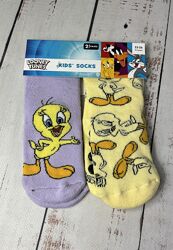 Шкарпетки набір дитячі махрові Looney Tunes Різнобарвний 40/100