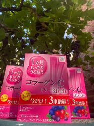 Колаген желе Earth Collagen C Jelly 31 стік  3 в ПОДАРУНОК