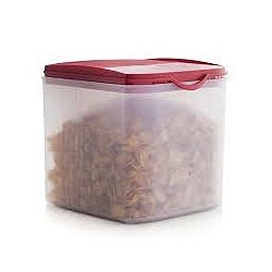 Компактус Новинка 3,4 л Tupperware