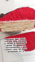 Наполеон Светлана Кошкина