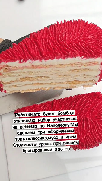 Наполеон Светлана Кошкина