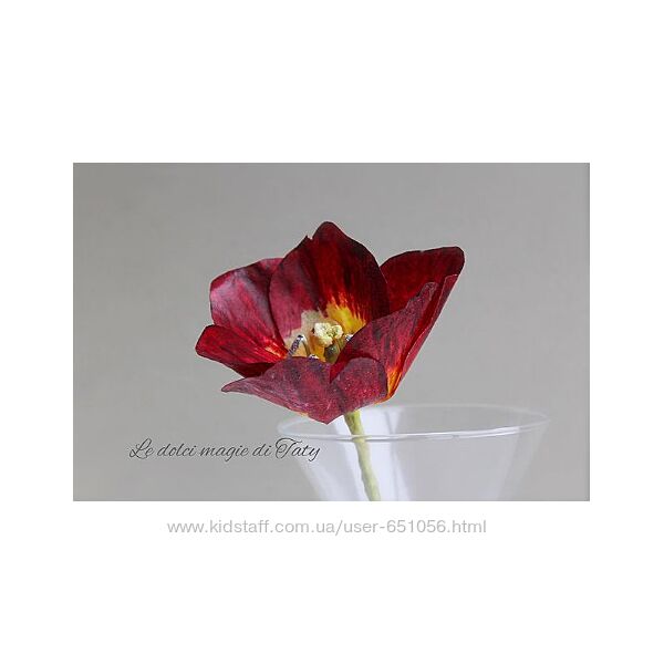 Курс весенний Татьяна Ефремова