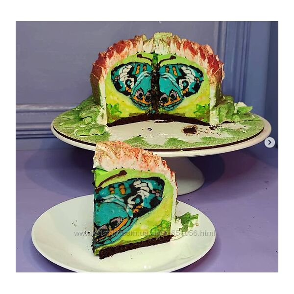 Евгения Кизленко 4 курса Торты в технике cakeinside Бабочки и весна