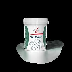 TopShape FitLine Топшейп Фітлайн для корекції ваги 180 капсул