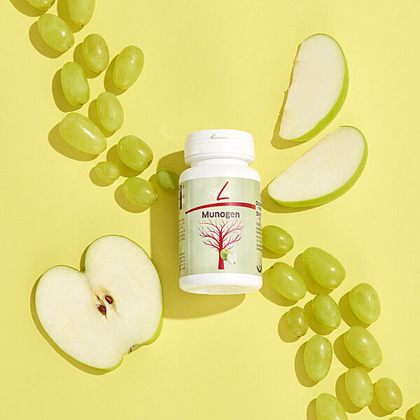 Капсули Фитлайн Муноген, нормалізує кровотворення, зменьшує втому FitLine Munogen 60 капсул, Німеччина