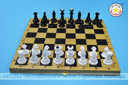 Шахматы  шашки набор 2 в 1