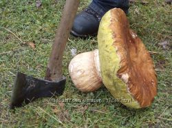 #3: Спілий - на порошок