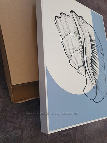 Картина мушля, 3040, нова