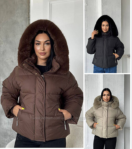 Зимові куртки