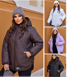 Зимові курки 