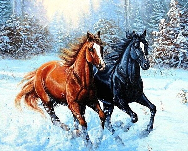 Лошади на снегу Алмазная мозаика На подрамнике 40 на 50 см