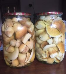 Мариновані грибочки