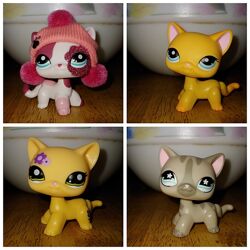 Стоячка редкая lps