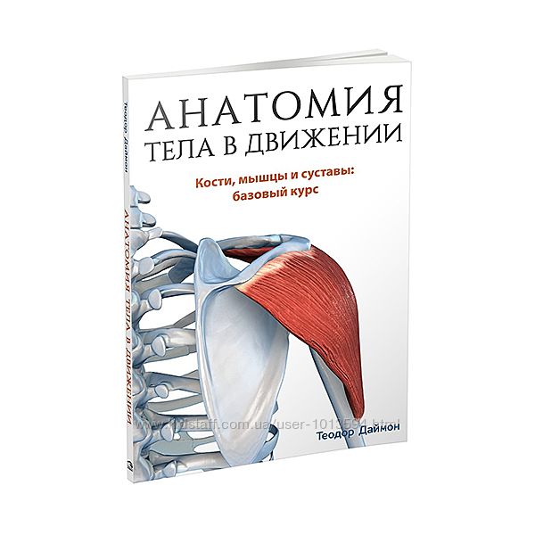 Анатомия тела в движении. Кости, мышцы и суставы Теодор Даймон Книга PDF