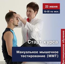 Мануальное мышечное тестирование Васильева Людмила