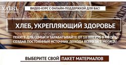 Хлеб, укрепляющий здоровье Светлана Аристова Пакет Печем и зарабатываем
