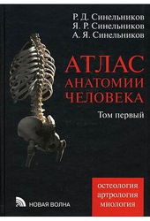 Атлас анатомии Синельникова. В 4-х томах. 