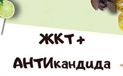 Светлана Литвиненко Набор Антисахар Умный детокс ЖКТ Атикандида Анализы