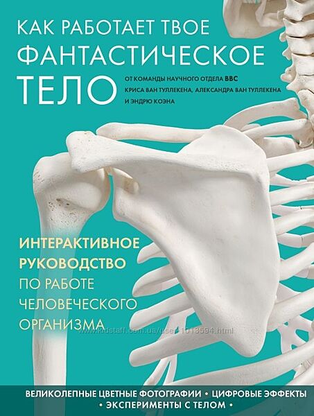 Как работает твое фантастическое тело Эндрю Коэн