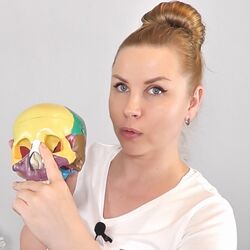 Екатерина Брагина Глаза. Волшебный взгляд
