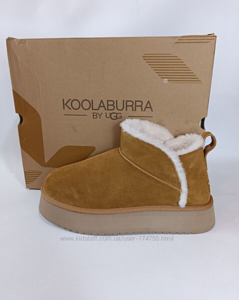 Жіночі зимові шкіряні червики угги Koolaburra by UGG 43 розмір