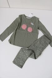 Трегінси, теггинси, лосіни