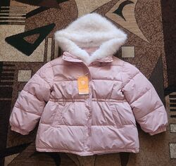 Куртка осінь зима