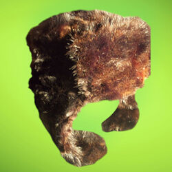 Шапка мужская норка