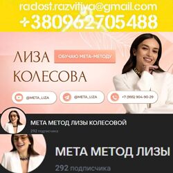 Лиза Колесова Мета-Метод 7 поток 2025 курс Обучение работе с клиентами по М