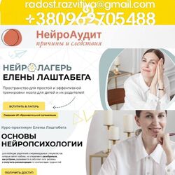 26 курсов Елена Лаштабега НейроЛагерь Мозг Энергия Движение Основы нейропси