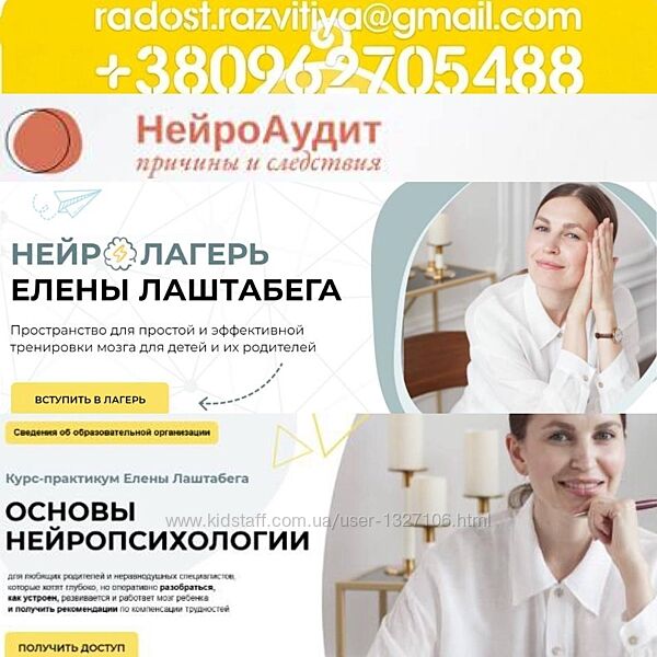 26 курсов Елена Лаштабега НейроЛагерь Мозг Энергия Движение Основы нейропси