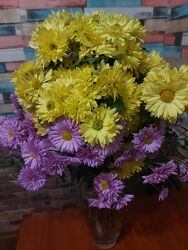 Хризантема жовта висока ромашковидна