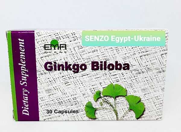 Ginkgo Biloba