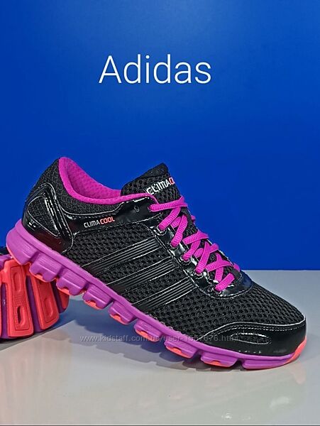 Беговые женские кроссовки женские Adidas Оригинал