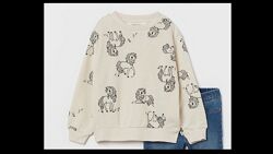 Суперовий світшот H&M 