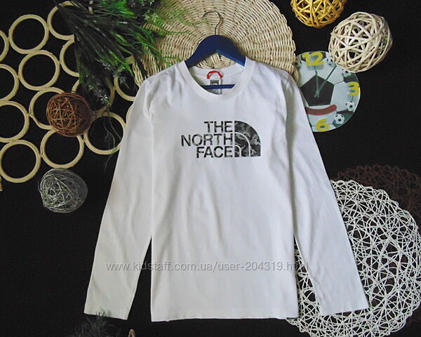 Моднячий лонгслів The North Face 