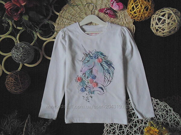 Бомбезний реглан Kids Peacocks 