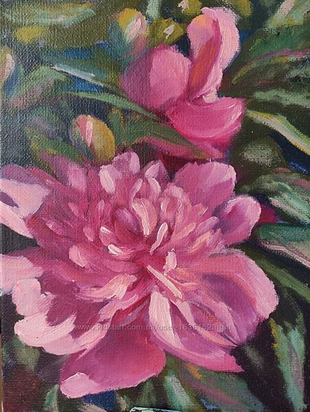 Картина маслом цветы розовые пионы