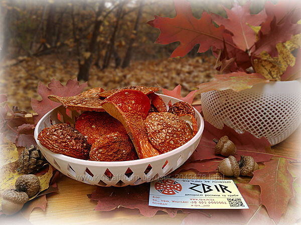 Мухомор ЧЕРВОНИЙ Amanita Muscaria, сушені капелюшки. Сезон 2025.