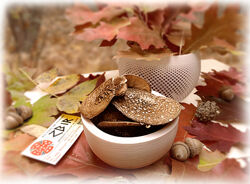 Мухомор ПАНТЕРНИЙ Amanita Pantherina, сушені КАПЕЛЮШКИ, сезон 2025