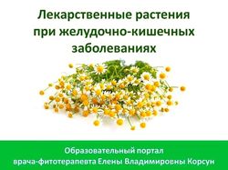 Фитооздоровление при заболеваниях желудка и кишечника Елена Корсун
