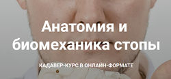 Анатомия и биомеханика стопы Кирилл Шлыков, Михаил Касаткин