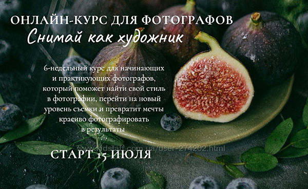 Курс для фотографов Снимай как художник Зубкова 
