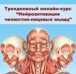 Александр Киреев 4 курса 30-ти дневная программа Дисбаланс Коган