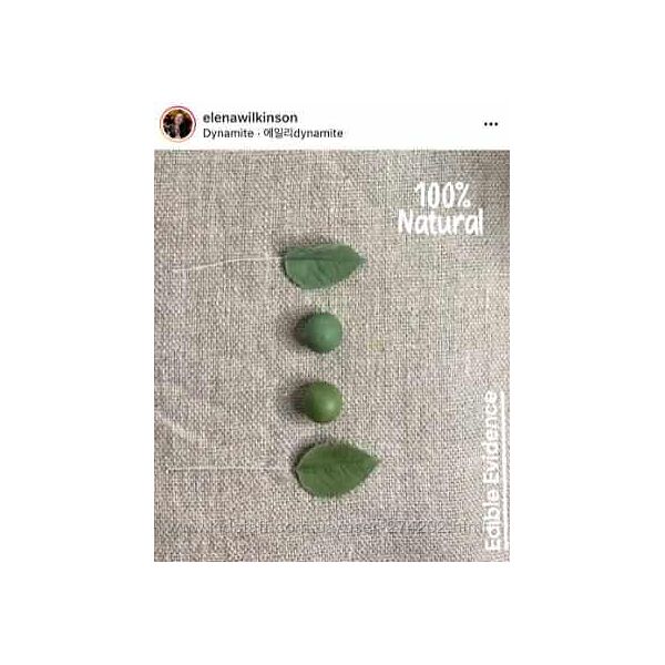 Тюльпан попугай из сахарной мастики elenawilkinson