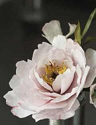 Вафельная флористика cookbookinsta