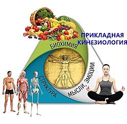 5 причин возникновения болезней с точки зрения прикладной кинезиологии 